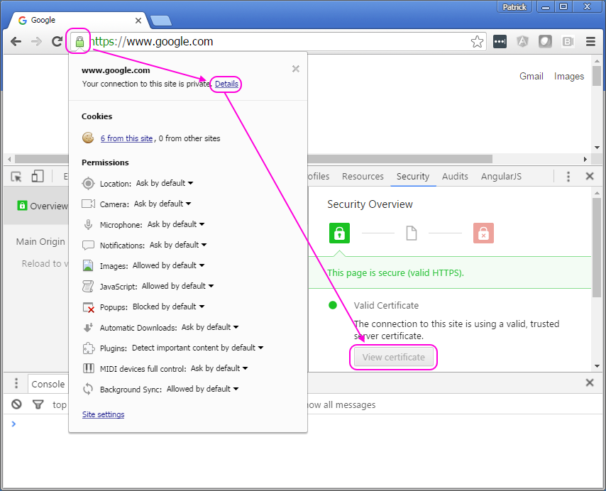 Viewing an SSL Certificate in Google Chrome